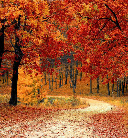 fall 1